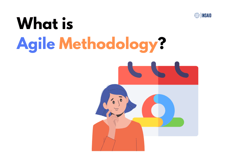Everything you need to know about Agile Methodology