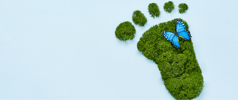 The Role of Big Data in Climate Change Mitigation